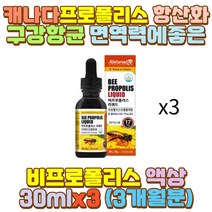 FLAVONOID 프로폴리스액상 PROPOLIS 50대 여성 남성 음주 과음 술자리 숙취 출근 퇴근 장 거리 시간 택시 택배 버스 화물차 대리 운전 기사 서서 일 하는사람 예비 시아버지 시어머니 장인어른 장모님 부모님 남편