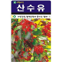 몸에 좋은 산수유나무 씨앗(100립)(A0581)