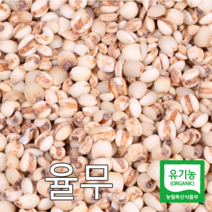 산들바람 2022년산 국산 유기농 햇 잡곡 율무 500g, 1개