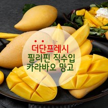 [더단프레시] 직수입 필리핀 카라바오 생망고, 카라바오망고 L 16과 5kg