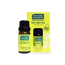 써스데이플랜테이션 티트리 오일 10ml