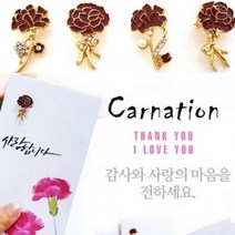 카네이션 감사 스승의 날 브로치 꽃말 돈 봉투 포함