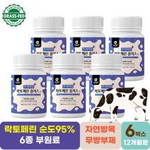 모메라이프 락토페린플러스 60정 6박스 동결건조 자연방목 고품질우유생산