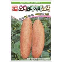 오이씨앗 신아시아노각 오이(50립), 단품