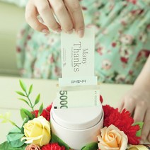 돈다발케이크 용돈박스 반전 돈티슈 DF2213 대형 어버이날 카네이션 선물 비누꽃, 카네이션핑크