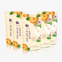[참든본사직영] 도라지배 바르게담아 체험팩 100ml 5포 나주배즙 제주 도라지즙 HACCP