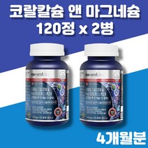 캐나다 코랄칼슘 해조 산호 칼슘 CORAL CALCIUM 마그네슘 비타민D 아연, 1305mg, 2병