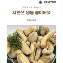 [경동버섯유통 송이 능이]자연산 송이버섯/ 냉동 1pk 냉동송이/특HB HB P P3/1kg, P(1kg)