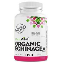 PlantVital 에키나시아 추출물 영양제 Echinacea capsules 10:1 ratio, 120정, 1개, 120개