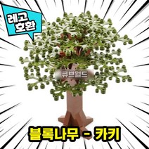 [큐브월드] 레고호환 블록 사계절 나무 7종7색 컬러풀 트리 모음 브릭 미니피규어 MOC 중국레고, 04. 블록나무 - 카키