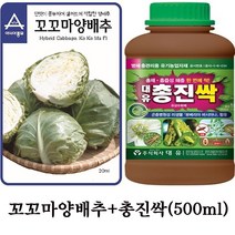 꼬꼬마양배추(100립)+총진싹(500ml) 세트 총채 흡증성 해충 친환경 살충제 *꼬꼬마양배추 수경재배용*