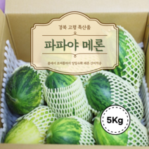 파파야 메론 5KG 경북 고령 파파야 멜론 봄 초여름 제철과일 고당도 경북 특산품