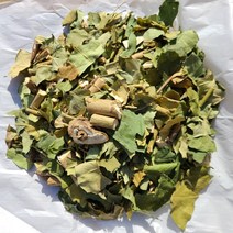 지리산 약초 스토리 황칠나무 가지 잎 차 국내산 600g