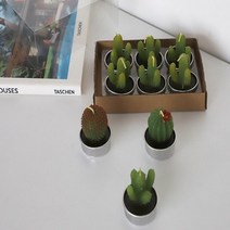 캔들공방 재료 워머 우드윅 석고 방향제 소이 테라리움 용기 미니, 10