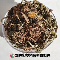 국산 포공영 민들레 500g 제천약초영농조합, 1, 500