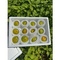 태추단감 2kg 중소과 11-13과, 단품