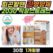 엉겅퀴 추출물 밀크시슬 30정 간건강엔 밀크씨슬 밀크시슬 6중 기능성 식약처 인증 피곤할때 먹는 영양제 20대 30대 사회초년생 직장인 알바생 피로감 스트레스 활력에너지 B군