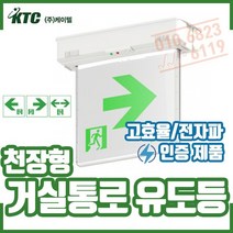 ㅁ천장형 거실통로유도등. 중형. 고효율 전자파 인증, 1개