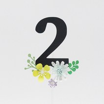 루아룰루 숫자토퍼 백일 돌 아기 생일 생신 기념일 결혼 칠순 꽃 케이크 토퍼 제작, 두자리(00), 없음