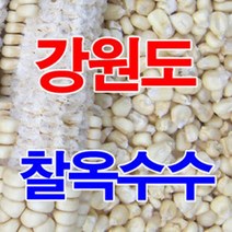 우리네농산 강원도 정선 건조 옥수수 햇볕에 잘 말린 찰옥수수 5kg 뻥튀기 옥수수차 깨끗이 선별된 잘마른 찰옥수수알