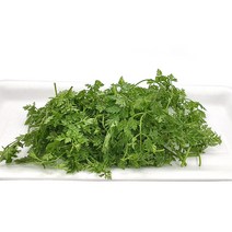 야채왕 차빌 1팩 허브 생잎, 1개