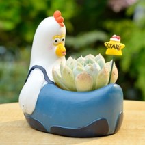 ROOGO 루고 화분 작은 자연 치킨