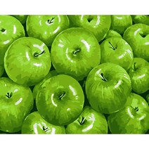 복복샵 명화그리기 물감2배 40x50 유화그리기 세트 DIY, 2세트)32. 재물사과