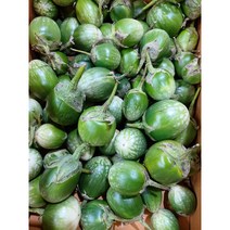 국내재배 태국가지 (1KG) 커밋가지 마크아 베트남 동남아 가지, 마크아 흰가지 1kg ត្របស្រួយស