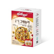 켈로그 고소한 현미 그래놀라 500g X 2입, 단품