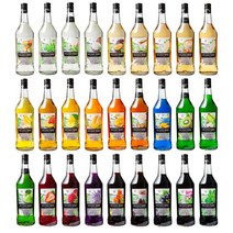 베드렌 시럽 1000ml / 프랑스산 프리미엄 시럽 / 현존 문화유산기업 / 바닐라 카라멜 헤이즐넛 솔티드카라멜 초콜렛 케인슈가 모히토 그린바나나 그린애플 레몬 망고, 딸기