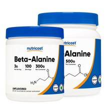 뉴트리코스트 베타알라닌 파우더 3000mg 300g 500g, 1개, 300g(100서빙)