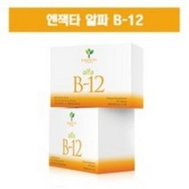 앤젝타 엔잭타 알파비타민 B-12 기억력 향상 집중력 90정, 22.4g, 1개