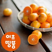 산지직송 제주도 서귀포 고당도 타이벡 조생 하우스 감귤 2.5kg 4.5kg, 노지감귤, 9kg 프리미엄과