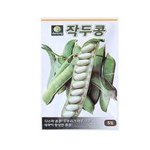 바보사랑 미미네가든 작두콩 씨앗 (5립) 텃밭 채소 키우기 .미미네아쿠아