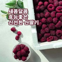 포항 장기 생과 급냉 새콤 달콤 산딸기 500g 1kg 2kg 4kg GAP 인증, 산딸기 500g(급냉)