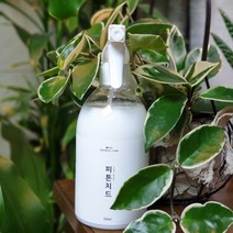벨퍼포먼스 아디노 피톤치드 스프레이 천연 편백 수 나무 탈취제, 500ml, 1개