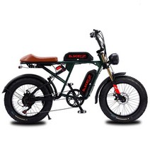 가벼운전기자전거 20 인치 전기 자전거 750W 48V 성인용 레트로 옛날 팻 타이어 오프로드 Ebike 45 KM/H 산악 전기자전거 비치, [10] 26AH 1500W, 한개옵션1