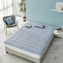 다니엘 스트라잎 매쉬패드 Q 블루