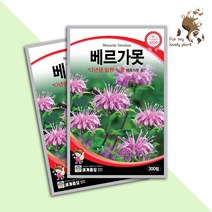 베르가못 300립 세계종묘 화훼류 씨앗