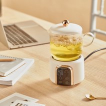 홍삼만들기 경옥고만들기 약탕기 600ml 전기 주전자 휴대용 스튜 컵 건강 보존 냄비 삶은 물 차 난방 사무, 06 D white_03 AU
