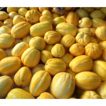 [송이네 성주 참외] 가정용 실속 대용량 당도선별 꿀맛 제철 과일 성주 정품, 10kg, 1개