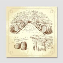 1300K CAS291 포도주 스케치2 B타입 1호, 단품