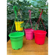 컬러플라스틱화분 P200) 걸이화분 행잉화분 행깅화분 분갈이화분, 컬러고리(그린)