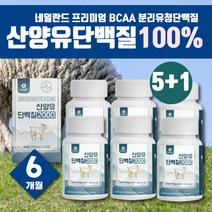 동물성 류신 BCAA 글로불린 WPI 필수 아미노산 카제인 유청 단백질 유단백추출물 유청단백질 WP 소화잘되는 네덜란드 산양유 완전단백질 50대 60대 70대 엠비피 웨이 프로틴 비씨에이