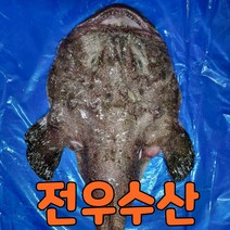 (전우수산) 국내산 생아귀 순살아귀 아귀간 아귀대창 아귀 아구 아구찜 아귀찜, 1개, 1. 생아귀(1kg)