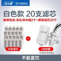 가정용 안지성 정수 기장 직수 용머리 수기 주방 세면대필터, T02-흰색(두 기계 20날), 1개