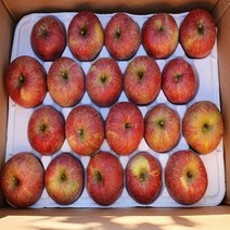 상주사과 백화산사과 5kg 16과 내외 프리미엄 문장대사과 성주봉사과, 상세페이지 참조