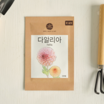 프레시가든 꽃씨앗 (다알리아), 단품