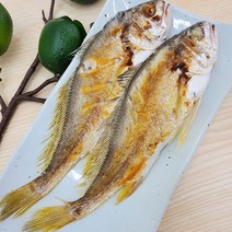 긴가이석태 침조기 침굴비 역거리 1.25kg이상(10미), 1.25kg 10미