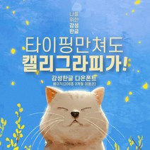 다온폰트 타이핑치는 캘리그라피 베이직 1년 쿠폰(윈도우전용), DAON BASIC / 12